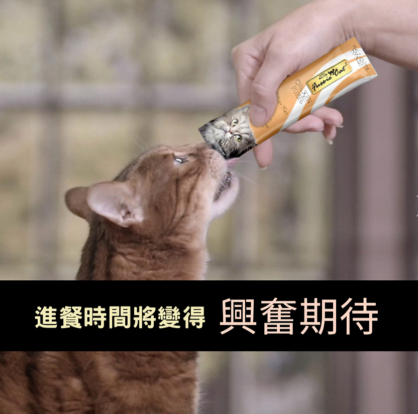 Fussie Cat 小食汁汁 Grain Free CHICKEN Puree (14gx4) 嫰滑雞肉醬無穀物天然貓小食 (14克x4)