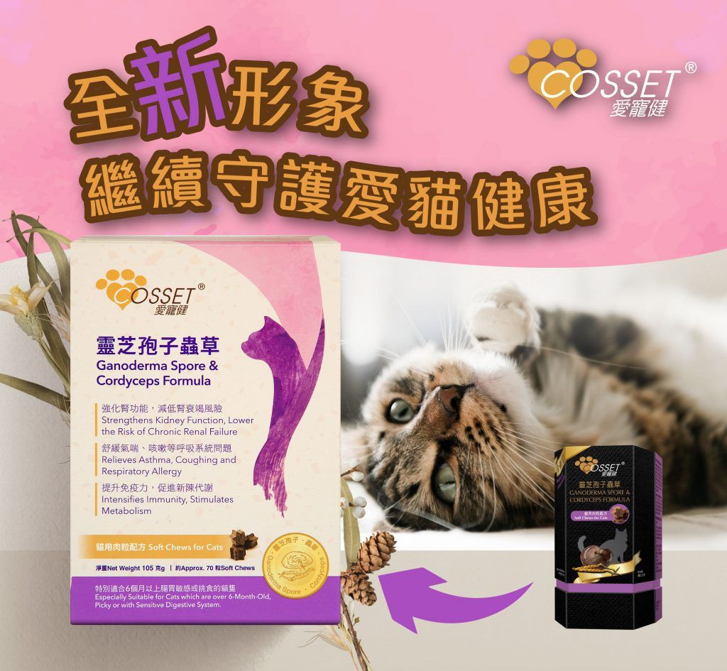 Cosset 愛寵健靈芝孢子蟲草貓用肉粒配方70粒 (滋味配方)