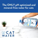 CatWater pH Balanced 貓貓飲用水, 4L