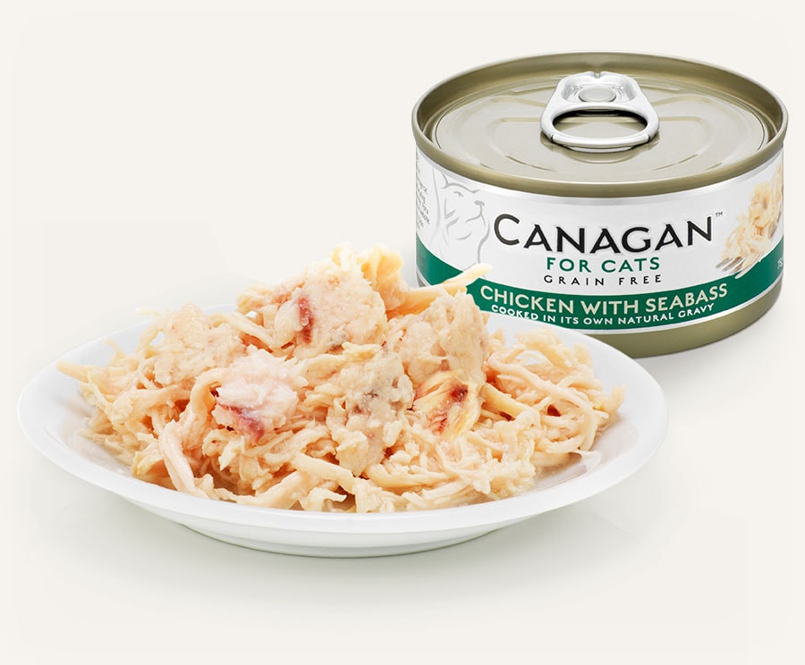 Canagan #06 Chicken with Seabass 75g 雞肉伴鱸魚配方