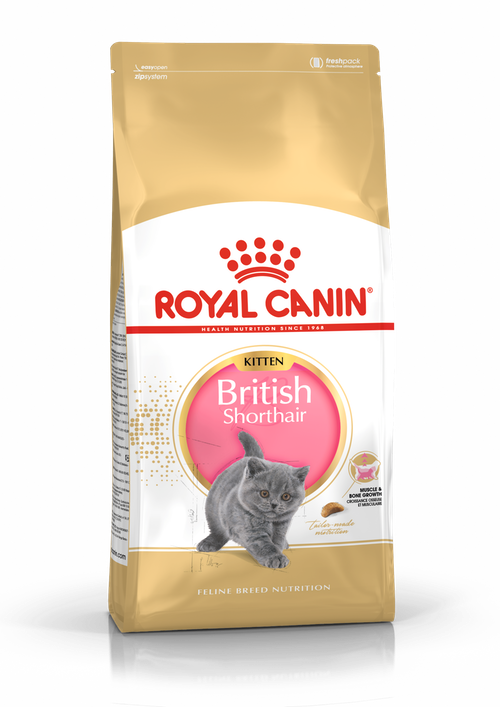 Royal Canin CAT - Feline Breed Nutrition(FBN)  British Shorthair Kitten 純種系列 英國短毛幼貓專屬配方10kg (原裝行貨)