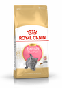 Royal Canin CAT - Feline Breed Nutrition(FBN)  British Shorthair Kitten 純種系列 英國短毛幼貓專屬配方10kg (原裝行貨)