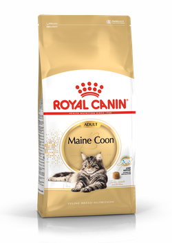 Royal Canin CAT - Feline Breed Nutrition(FBN) Maine Coon Adult 純種系列 緬因成貓專屬配方10kg(2550100010)(原裝行貨)