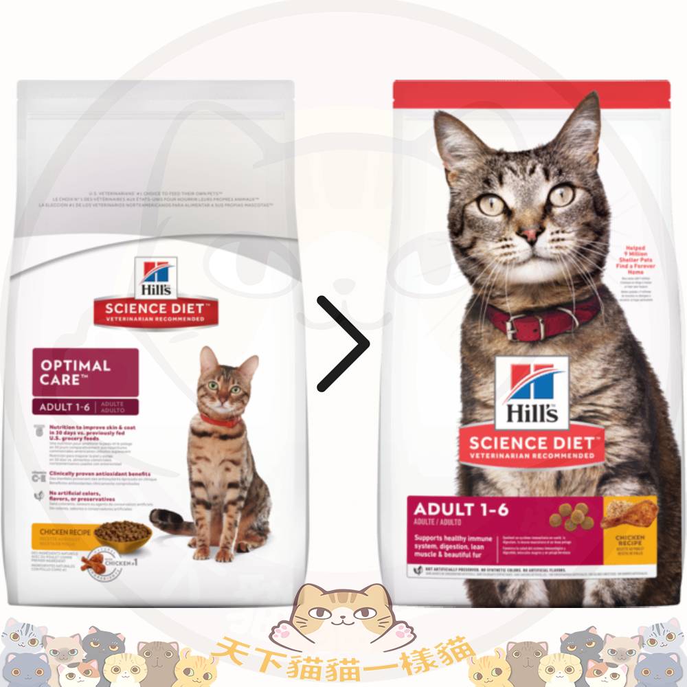 Hill's Cat - Science Diet ADULT 1-6 Optimal Care (#10296HG) 10kg 頂級照護配方 成貓 (1-6歲)