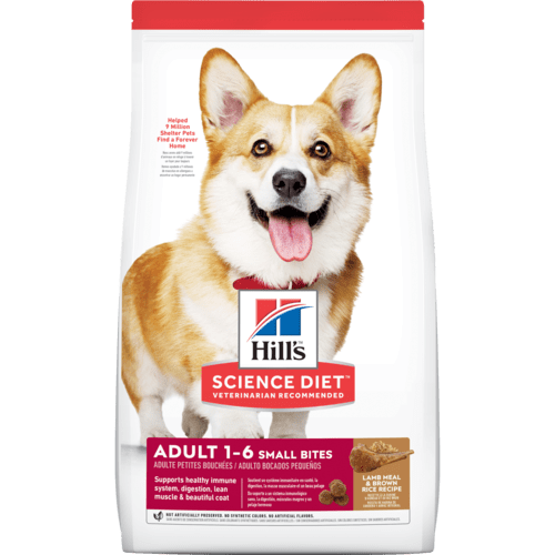 Hill's Science Diet Adult 1-6 Lamb Meal & Rice Recipe Small bites (#8557) 15.5lb 羊飯 細粒 成犬 (1－6歲)