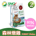 REAL POWER 瑞威 No.2 Forest Chicken 4KG 森林燉雞天然平衡全貓糧(腸胃健康) 4公斤 