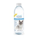 CatWater pH Balanced 貓貓飲用水, 500ml