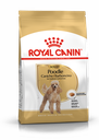 Royal Canin -  Breed 純種系列 Poodle Adult Dog 1.5KG 貴婦狗成犬專屬配方1.5公斤[訂貨需時2-3天](原裝行貨)