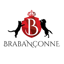 Brabanconne 爸媽寵