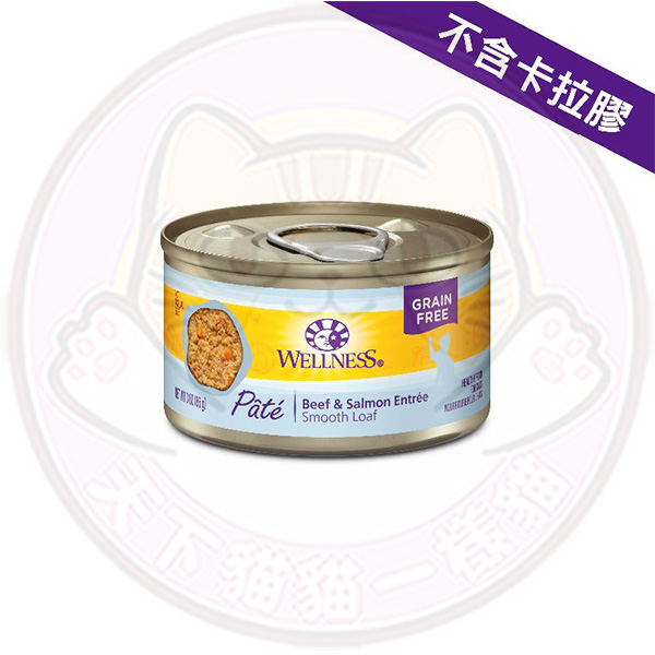 Wellness Complete Health 3oz CHS6 牛肉拼三文魚 Pate Beef & Salmon Formula  3oz 9020