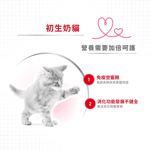 [斷貨中, 可預訂等貨到] Royal Canin - Feline Health Nutrition (FHN)Baby Cat Milk 健康營養系列 初生貓營養奶粉300g 連奶樽套裝 (Expiry Date: )