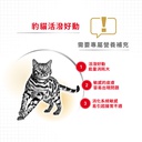 Royal Canin CAT - Feline Breed Nutrition(FBN) Bengal Adult 純種系列 豹貓成貓專屬配方10kg (原裝行貨) 