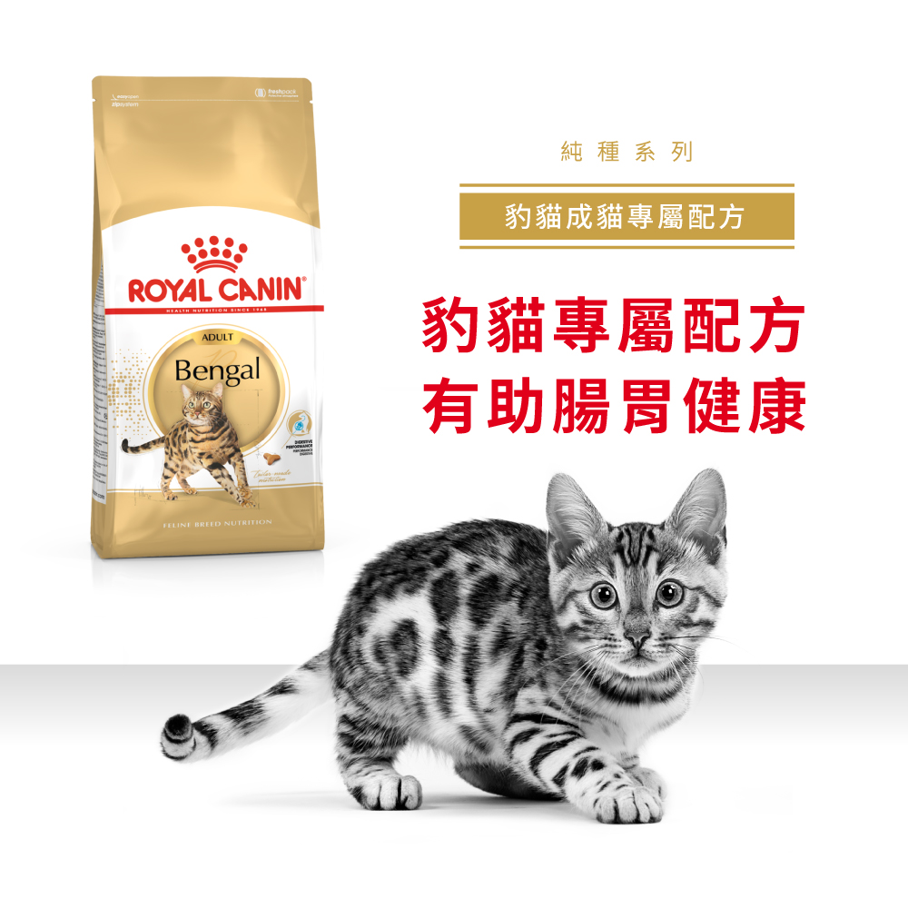 Royal Canin CAT - Feline Breed Nutrition(FBN)  Bengal Adult 純種系列 豹貓成貓專屬配方 02kg (原裝行貨) 