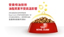 Royal Canin CAT - Feline Breed Nutrition(FBN)  British Shorthair Kitten 純種系列 英國短毛幼貓專屬配方10kg (原裝行貨)