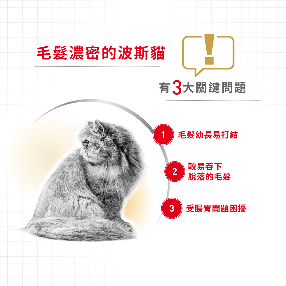 Royal Canin CAT - Feline Breed Nutrition(FBN)  Persian Adult 純種系列 波斯成貓專屬配方 02kg (2552020011)(原裝行貨)