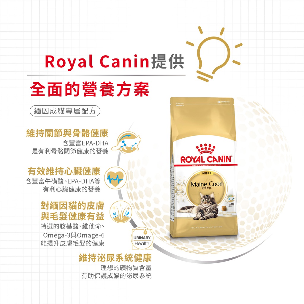 Royal Canin CAT - Feline Breed Nutrition(FBN)  Maine Coon Adult 純種系列 緬因成貓專屬配方10kg(2550100010)(原裝行貨)