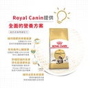 Royal Canin CAT - Feline Breed Nutrition(FBN)  Maine Coon Adult 純種系列 緬因成貓專屬配方10kg(2550100010)(原裝行貨)