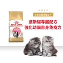 Royal Canin CAT - Feline Breed Nutrition(FBN)  Persian Kitten 純種系列 波斯幼貓專屬配方10kg(原裝行貨)