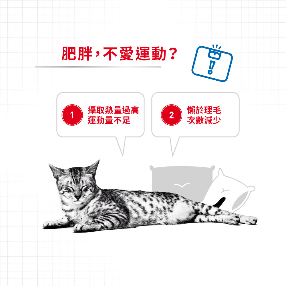 Royal Canin Light Weight Care 法國皇家減肥貓配方 1.5kg (2524015010) (*)