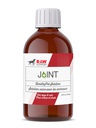 Holistic Blend / RAW Support [新裝: Joint 關節液 (貓狗適用)] 250ml  (訂貨需時5-7天)