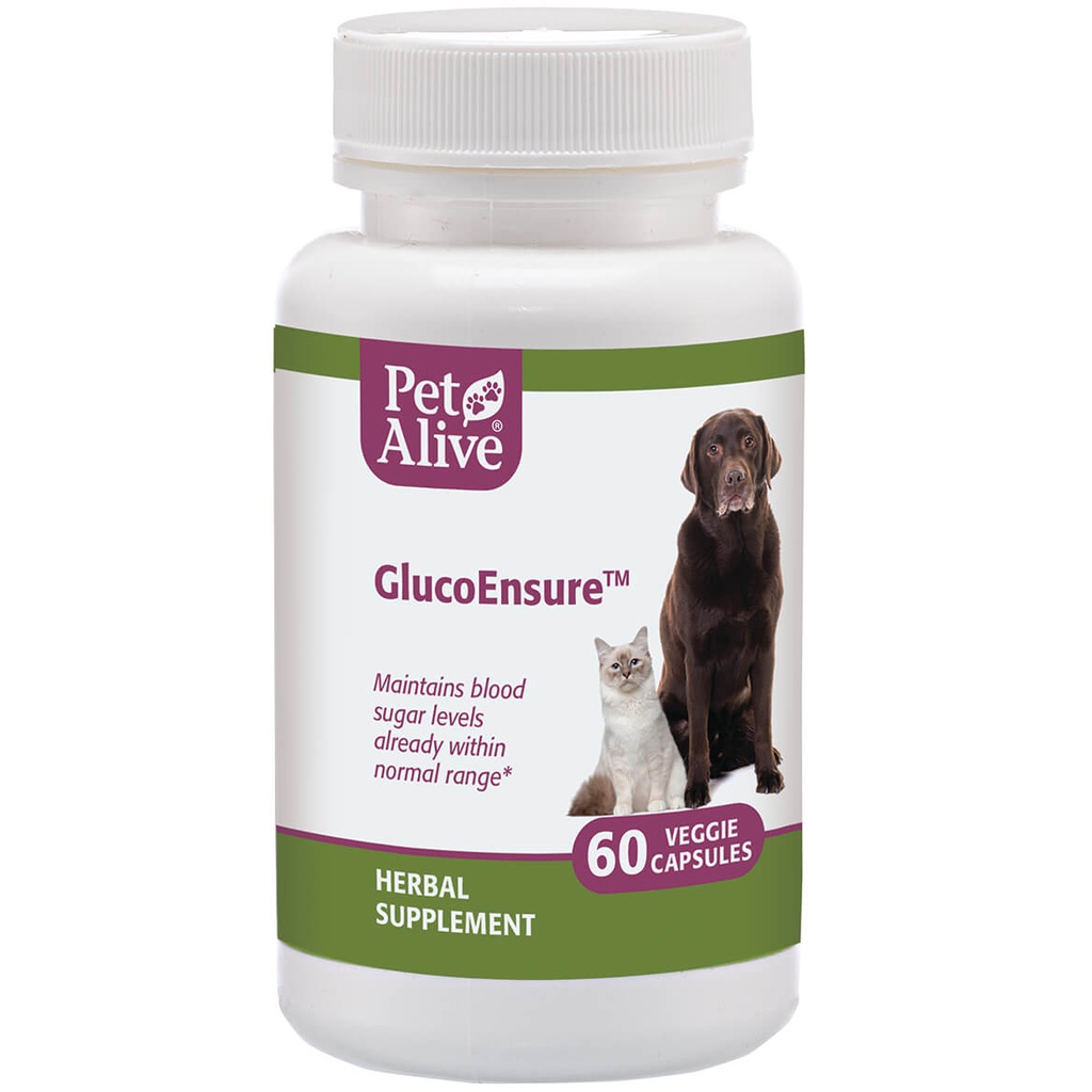 PETALIVE GlucoEnsure™(平衡血糖、治療糖尿病) 60粒