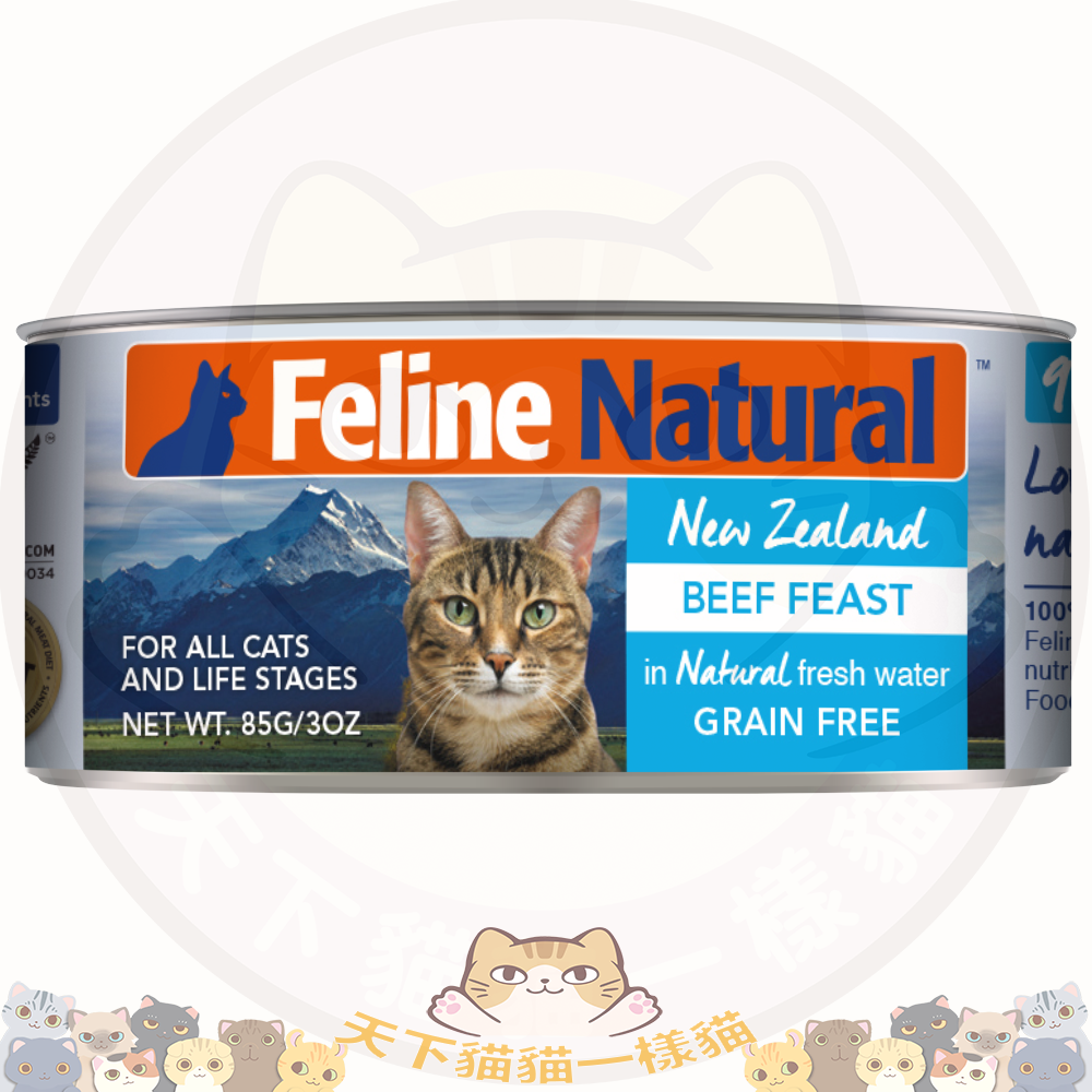 K9 F9 Feline Natural 貓罐頭 - Grass-Fed Beef Feast 牛肉盛宴 85g