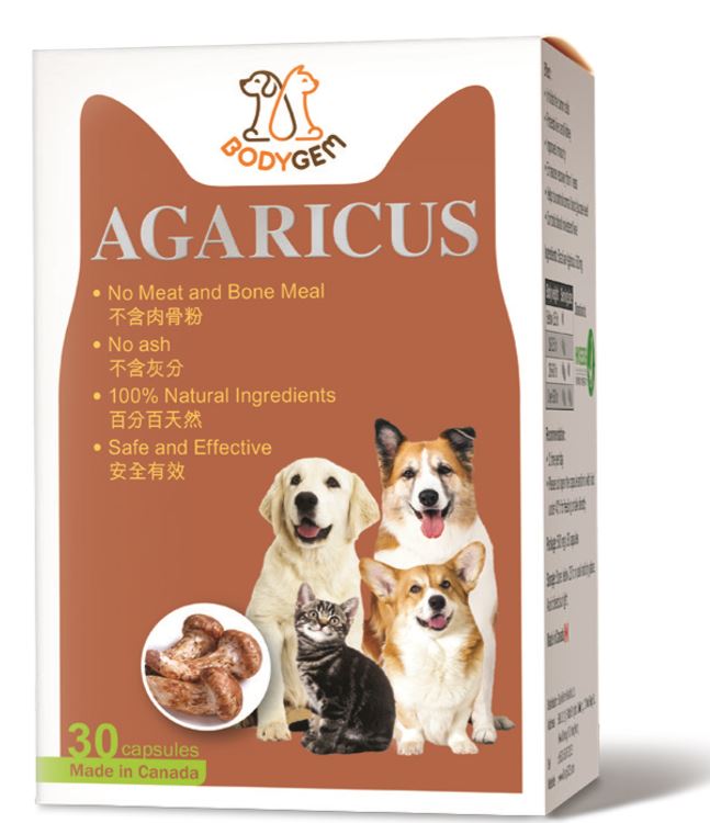 BodyGem Agaricus 寵物巴西姬松茸 30粒 (加拿大製造)